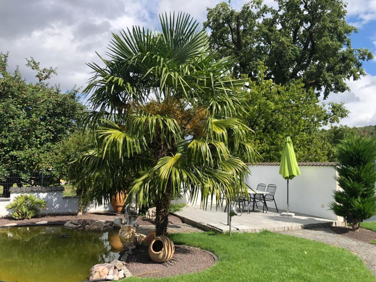Am Pferdemarkt Appartement Konz